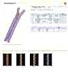 7MNPOR EVERBRIGHT® Zipper Size 7 Silver Open