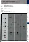 PZ-10 Resin Hook PLASMA10 Top Parts