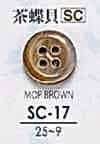 SC17 Shell Button- Mother Of Pearl Shell-