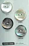 KMX-104 2 Hole Matte Shell Button