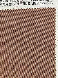 BD3876 High Density Compact Chino Cloth[Textile / Fabric] COSMO TEXTILE Sub Photo