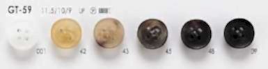 GT-59 Polyester Resin, 4 Holes On The Front, Matte Buttons