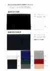 AST31109 Polyester Cationic 2WAY Mesh