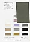7591 Recycled PE MVS45S Fully Dull Broadcloth
