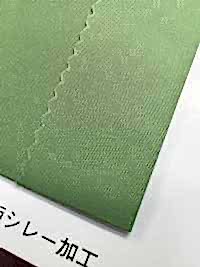 GX888 GO GO Sile Taffeta[Textile / Fabric] Masuda Sub Photo