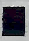 YK212-ID-20 Latest Jacquard Loom Paisley 7oz