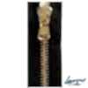 SL-8-SAE-TWOE Super Lampo Size 8 Real Gold Two Way Separator