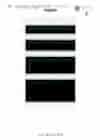 SIC-952 Thick Recycled Polyester Belt