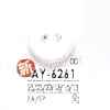 AY6261 Nylon Resin/epoxy Resin Two-hole Button