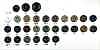 123 Giraffe Urea Resin 4-hole Matte Buttons