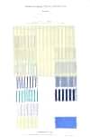 5SG024 Sophisticated Striped Broadcloth