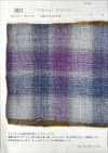 3831 Ombre Check