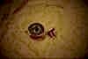 W-DT WALDES® Donut Tack Button 14mm/17mm
