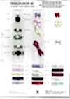 UR-L623 Processed Ribbon (Rolled)