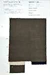 MSW1126 Cotton/ Linen