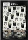 KTS7066 Twill Barista Bear Print