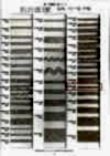 R-5505-39SS Linen Series Braid