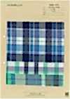 INDIA-2101 Madras Check