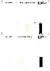 NO1808 Cotton Grosgrain