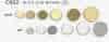C602 Coated Metal Buttons