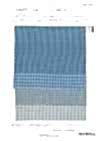 14425 60 Thread/Tencel™ Lyocell Fiber Double Gauze Blue Check