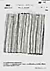 2907 Yoryu (Wrinkle Crepe) Stripe