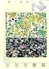 DP-3560-1 60 Lawn Digital Print Vintage Feel II Watercolor Small Flowers