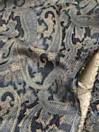 A-8109-OUTLET 16W Corduroy Paisley Print[Textile / Fabric] ARINOBE Sub Photo