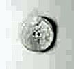 P0941 GAFFORELLI Coated Shell Button