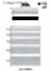 SIC-IB015 Shirring Elastic Band
