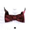 VANNERS VMT-02 VANNERS Textile Used Hand-knot Bow Tie Wine Satin