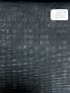 59550-54 25AW HERDREX [Brilliant Max] Brilliant Max Dark Green Bird's-eye Pattern